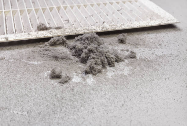 Best HVAC Duct Inspection Services  in Lansing, KS